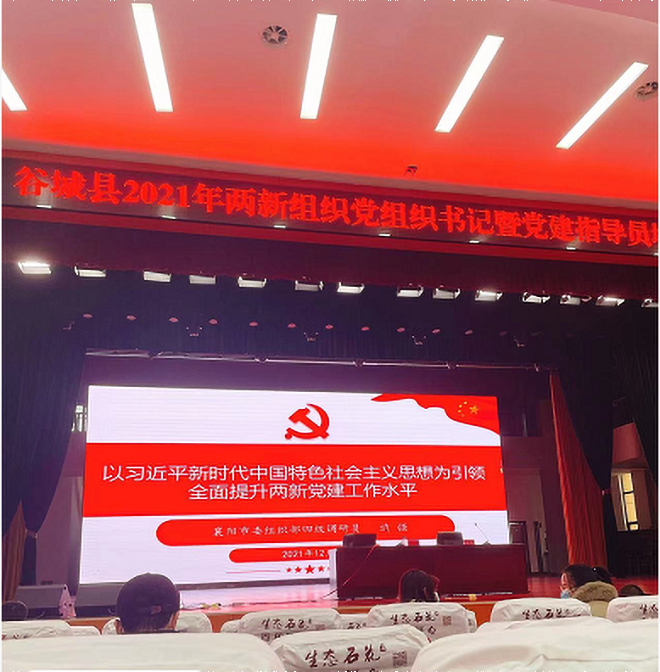 2021年谷城县两新组织党组织书记莅临美亚达工厂参观111(图2)